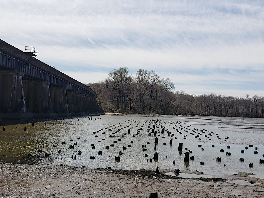 pilings from the 1872 bridge over Powells Creek are exposed during very low tides