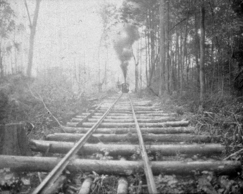 the Franklin and Carolina Railroad track into the Dismal Swamp along Railroad Ditch was not meant to last long