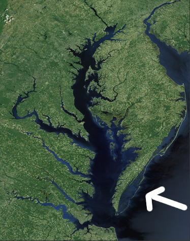 the Eastern Shore of Virginia is part of the Delmarva (<strong>DE</strong>laware, <strong>MA</strong>ryland, <strong>V</strong>irgini<strong>A</strong>) Peninsula, between the Atlantic Ocean and Chesapeake Bay