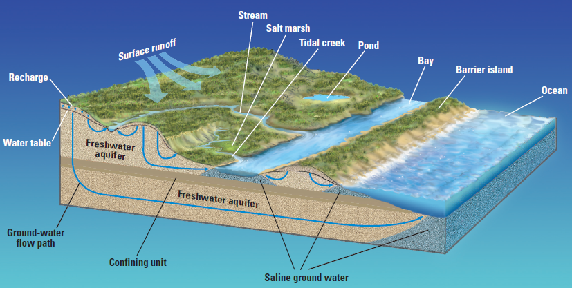 freshwater in the Eastern Shore accumulates from rainfall in shallow aquifers, just as in barrier islands