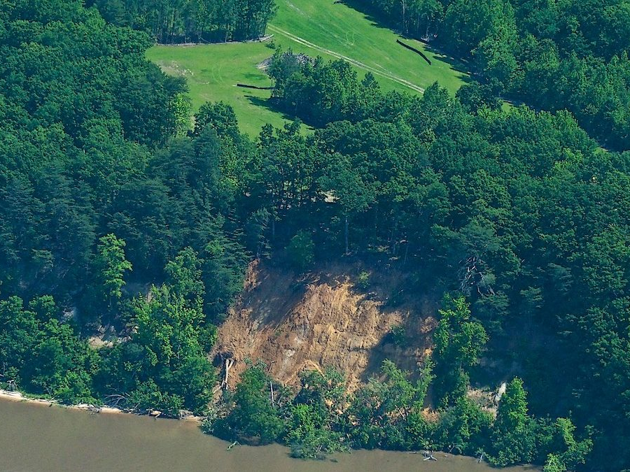 clearing the forest at Fones Cliffs created a surge of erosion and cliff collapse