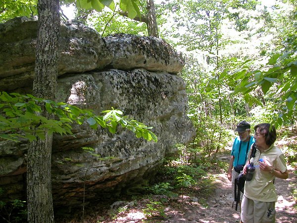 slowly-eroding sandstone near top of McAfee Knob in Roanoke County