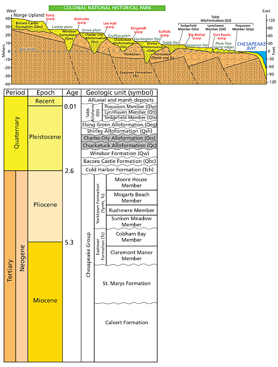 there are multiple stair-step scarps on the Coastal Plain near Williamsburg, created when the Atlantic Ocean was at different sea levels