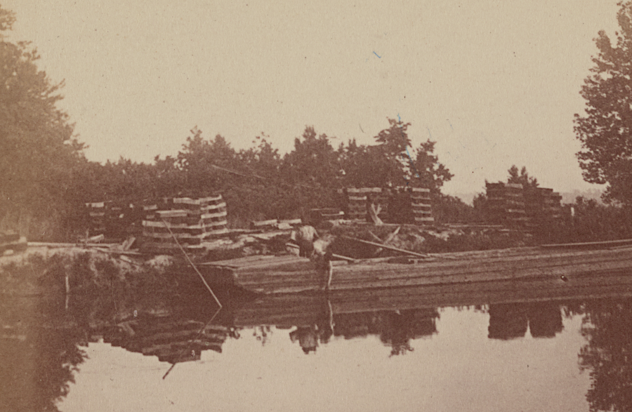 logs cut in the Dismal Swamp were shipped on the canal for processing at mills