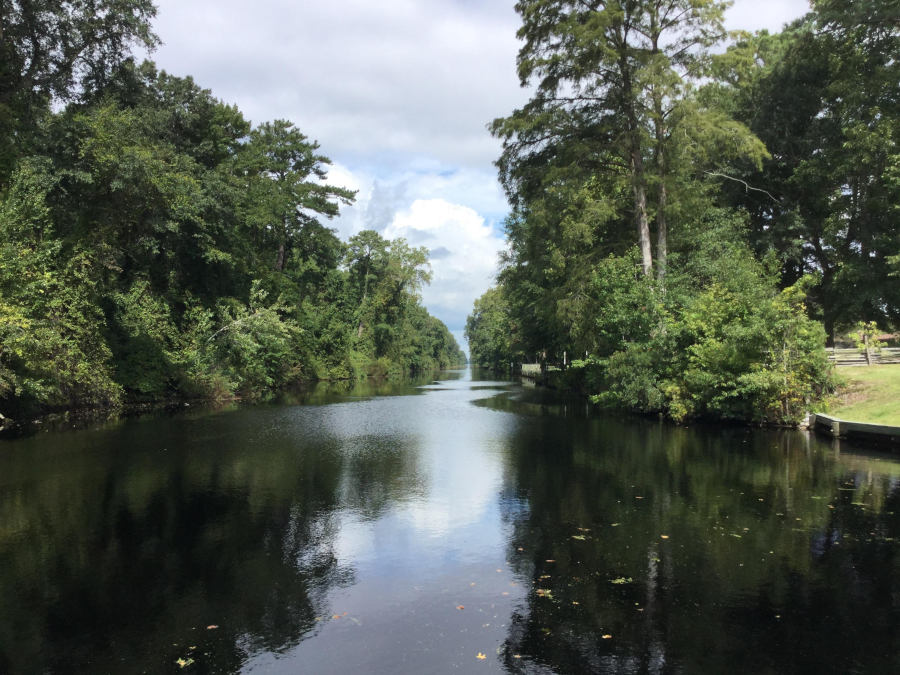 at times, the canal is exclusively a natural area without any people