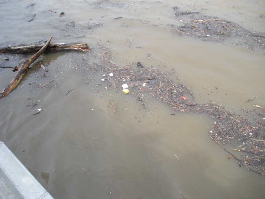 the 2009 test with an actual ferry revealed that debris in the water after rainstorms could force the ferry to reduce speed dramatically