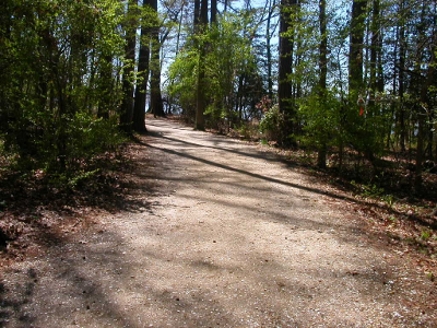 Great Road in Jamestown, first highway built by colonists