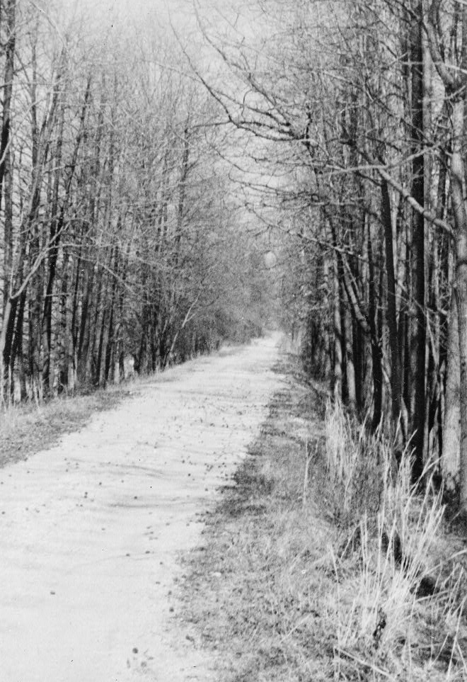 the Kings Highway in Prince William County, traveled by Washington and Rochambeau in 1781, was still unpaved in the 1930's