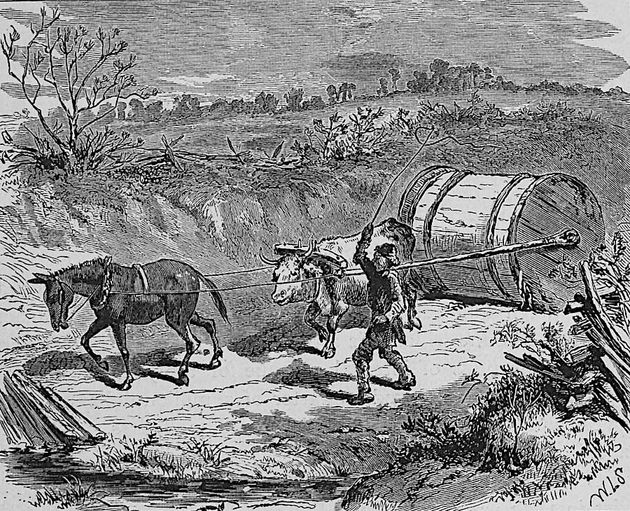 hogsheads filled with tobacco were rolled to market