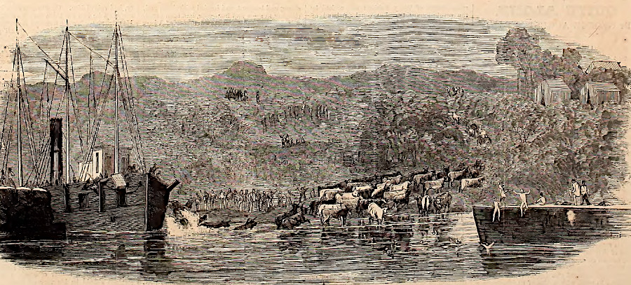 Union steamboats brought supplies to soldiers throughout the Civil War, while Confederates relied upon just wagons and railroads