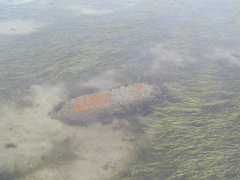 unexploded ordinance litters the marshes at Poquoson