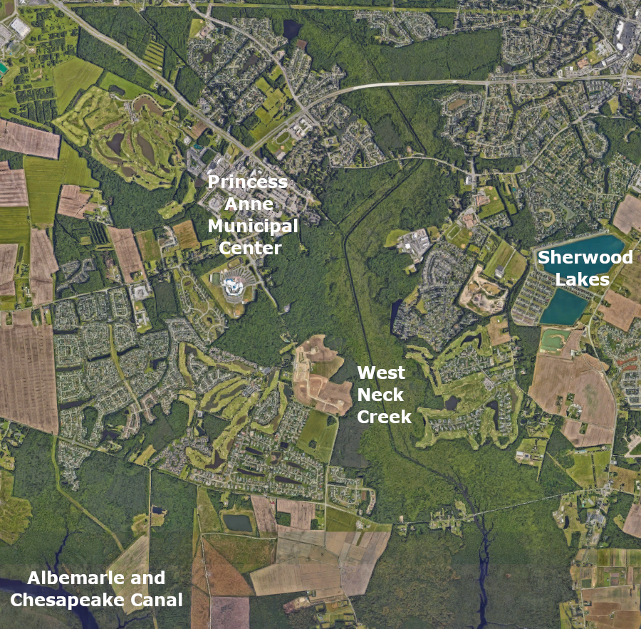 the upstream end of West Neck Creek has been channelized to create dry land and manage flooding risk