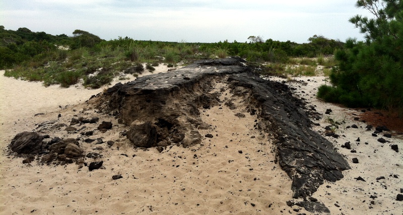 remnants of Baltimore Boulevard, built in the 1950's to facilitate development on Assateague Island south of Ocean City inlet but severely damaged in the 1962 storm