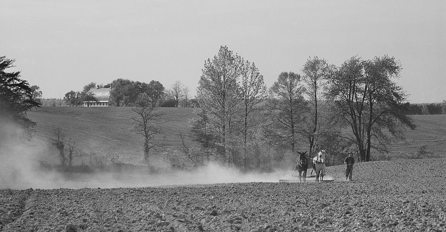 Fairfax County, next to the District of Columbia market, was the highest-producing source of dairy products in Virginia before World War II