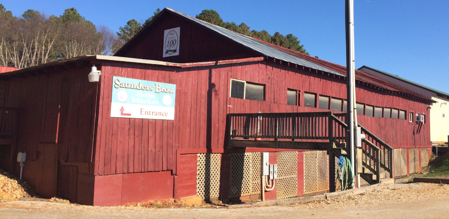 one white pince supplied all but eight boards used to build this side of the Saunders Brothers peach-packing shed near the Piney River