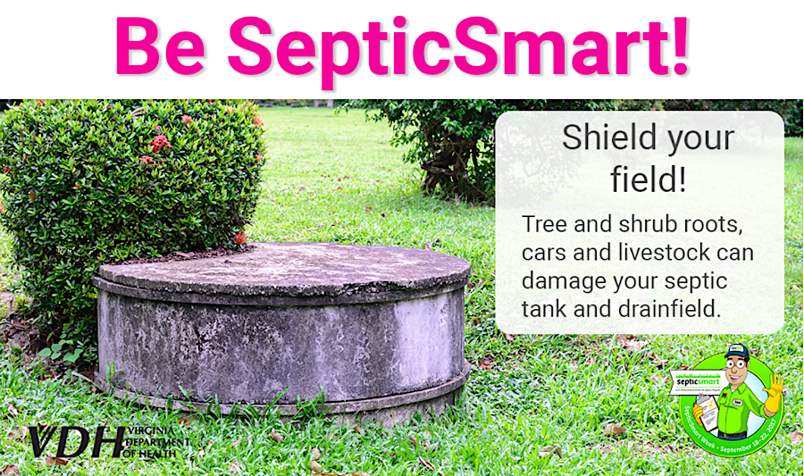 roots from trees and shrubs can block pipes, so most drainfields are covered in grass and mowed regularly