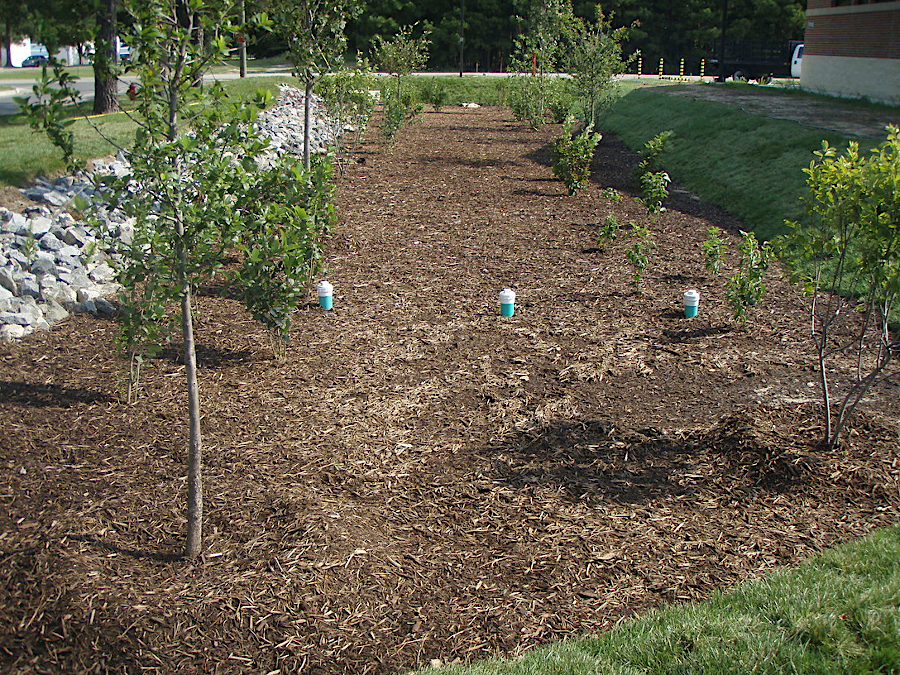 bioretention ponds are designed to increase water infiltration into soil