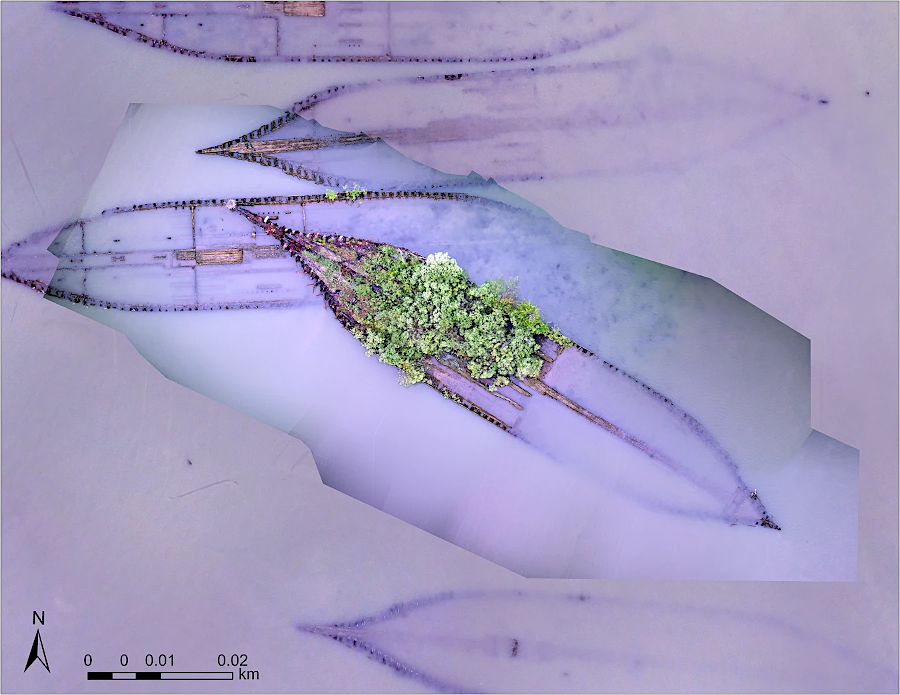 the remains of the Benzonia now support vegetation at Mallows Bay