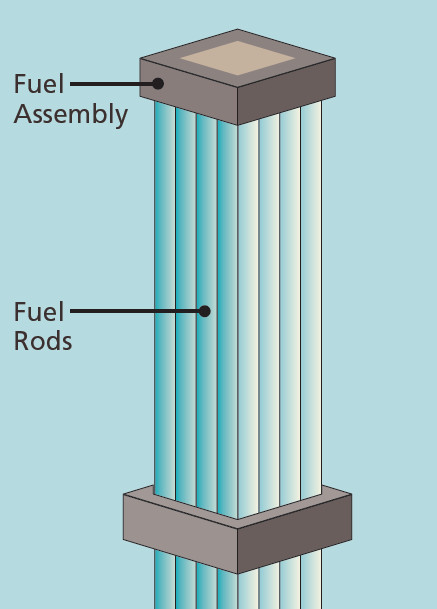 radioactive pellets are loaded into fuel rods, and multiple rods are aligned together to create a single fuel assembly
