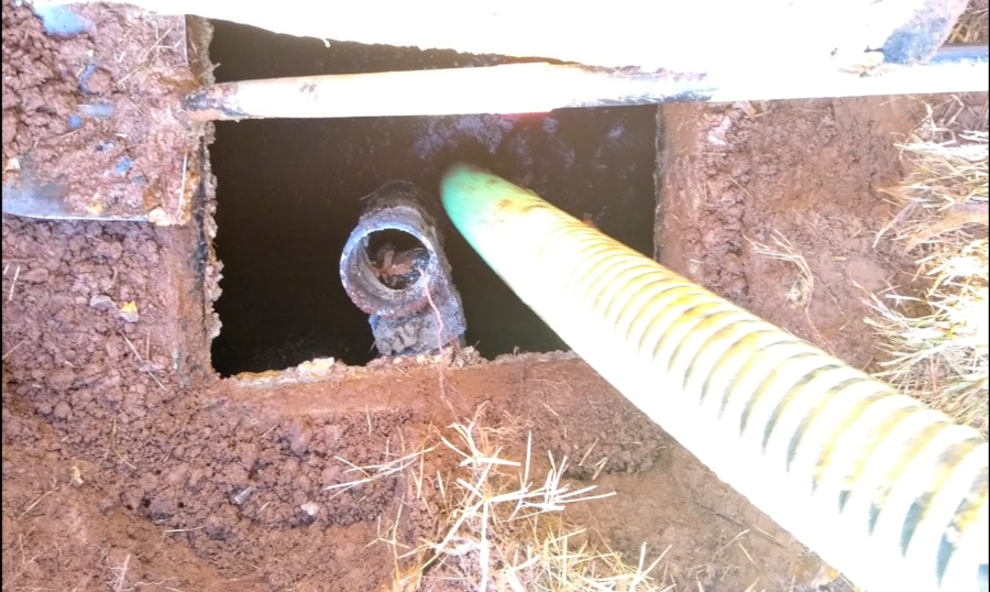 looking down into a septic tank, prior to pumping it out