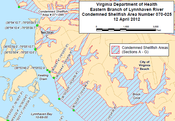 DEQ determines if water quality in Lynnhaven River supports shellfish on a regular basis