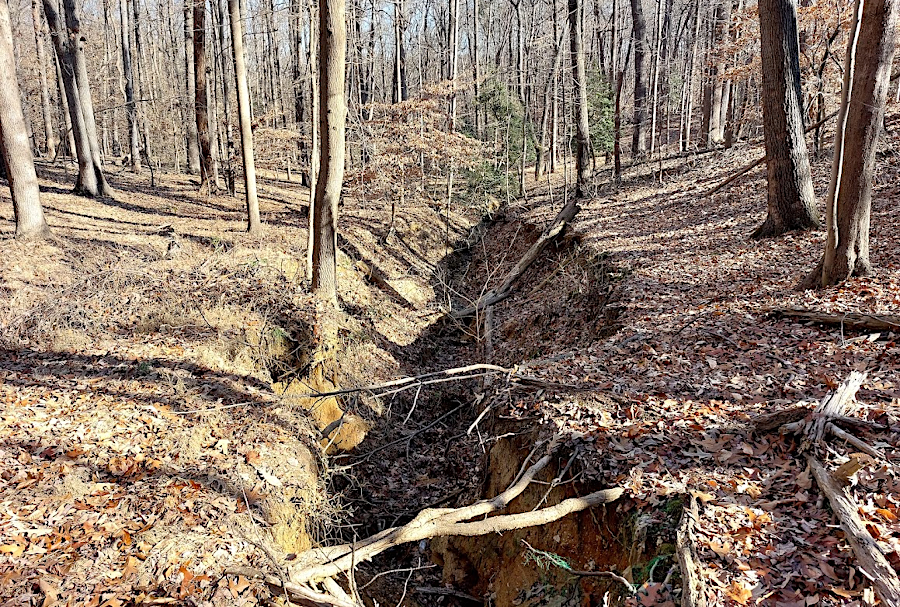 uncontrolled runoff from a parking lot has etched a canyon at Tanyard Hill Park near Occoquan