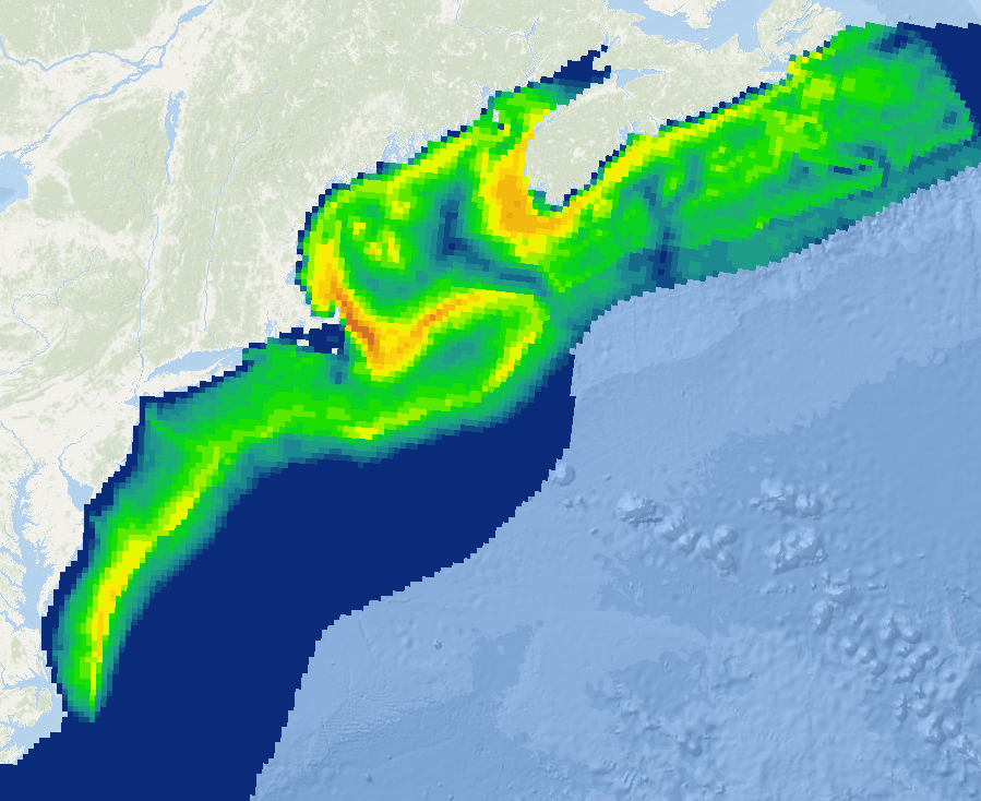 humpback whale density (animals/100 km2) in May show their migration past Virginia to the Gulf of Maine