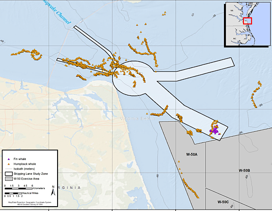 whales tracked between January 2015-May 2016 were often in the shipping channels