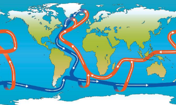 red shows near-surface transport and blue shows return flow at depth of the Atlantic Meridional Overturning Circulation