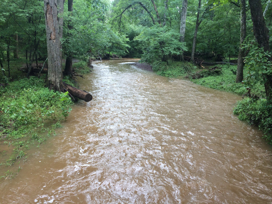 Youngs Branch at Manassas National Battlefield Park, bankfull after rains throughout July 2018