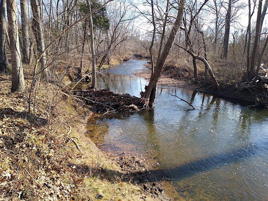 as stream banks erode, trees isolated in channels can become barriers to smooth stream flow