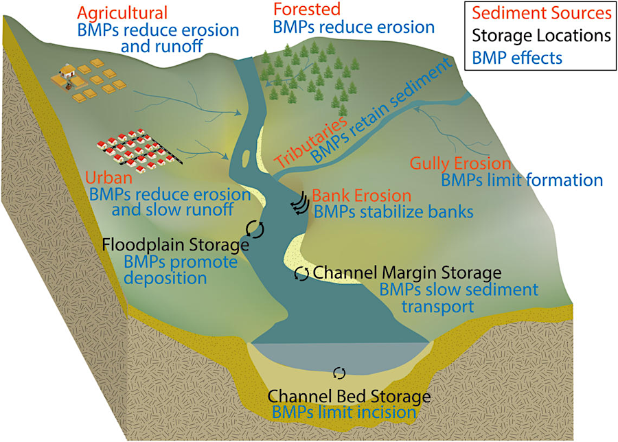 stream restoration is a Best Management Practice (BMP), designed to capture sediment in stream channel margins