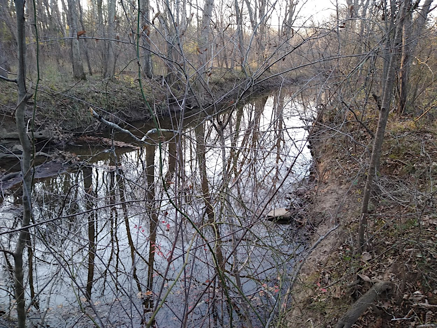 4-6 feet of excess soil buried the natural stream channel and floodplain of Broad Run