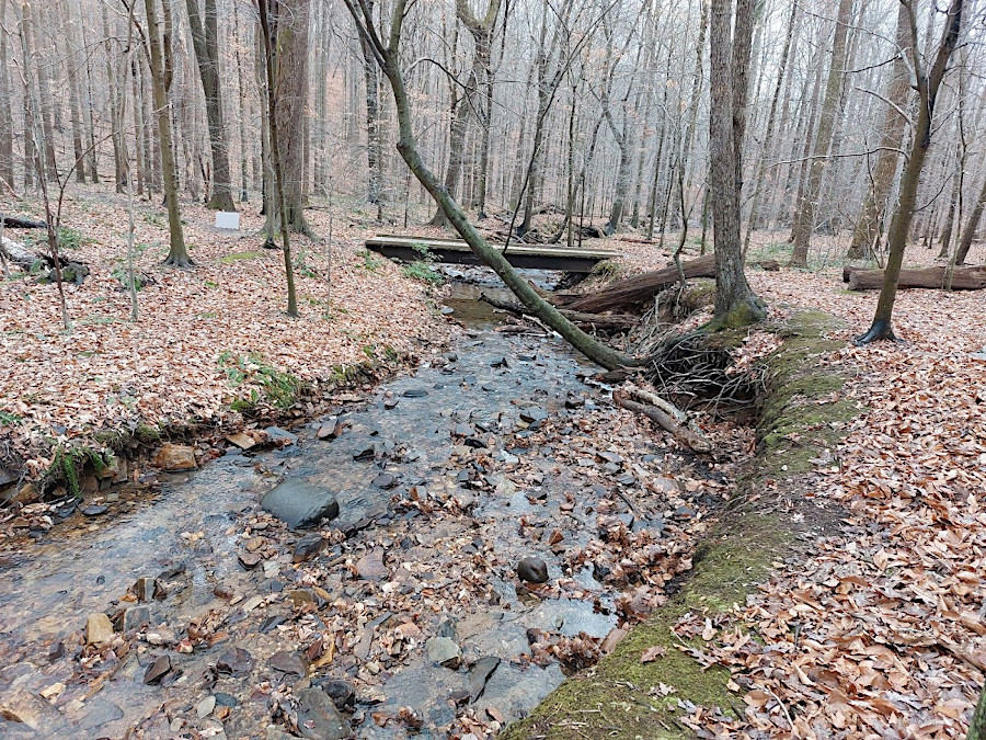 Catlett Branch, a perennial stream in Bull Run Mountains Naural Area Preserve