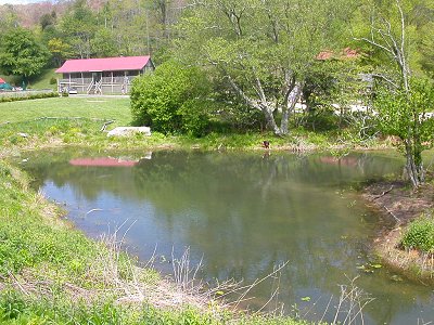 constructed wetlands downhill between lodge and lake