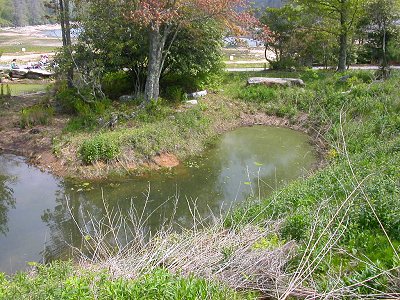 constructed wetlands downhill between lodge and lake