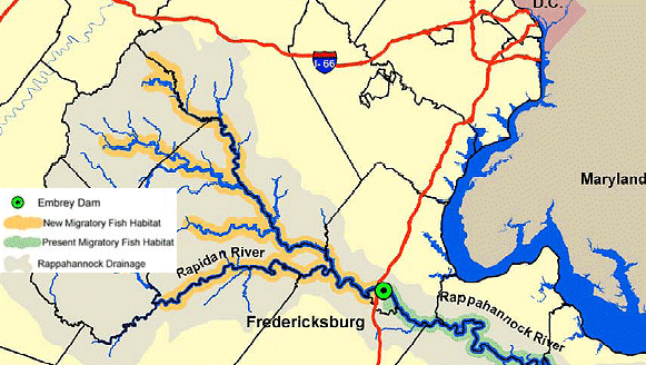 habitat opened by removal of Embrey Dam