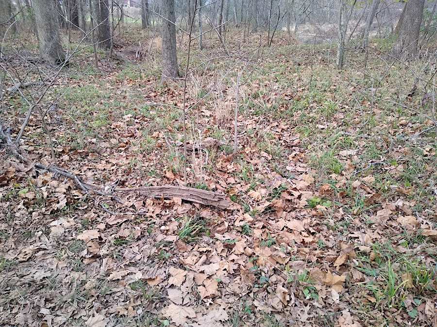 ephemeral stream channels are dry most of the time, and flow only during and right after precipitation events (rain/snow)