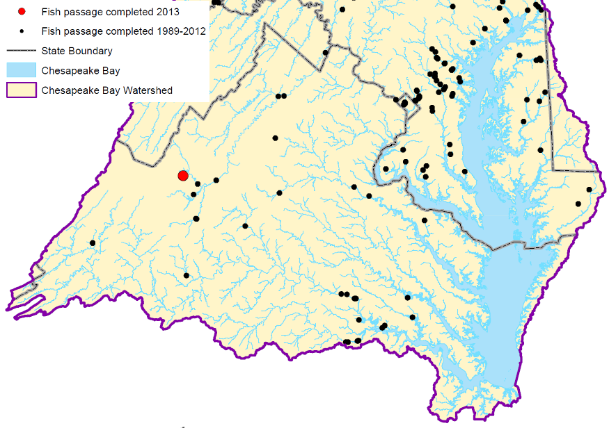 efforts to restore the Chesapeake Bay include fish passage projects on many tributaries