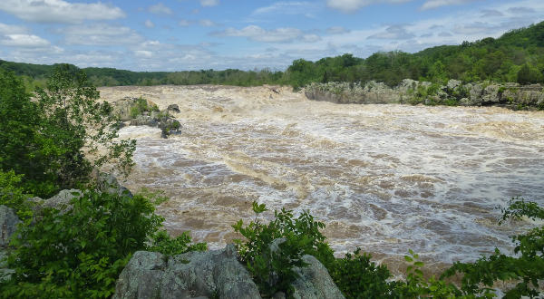Great Falls disappeared under a muddy Potomac River, in high water after a May 2014 rainstorm
