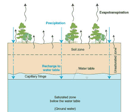 most rainfall returns to the atmosphere through direct evaporation and transpiration through plants, rather than sinking down into the saturated zone