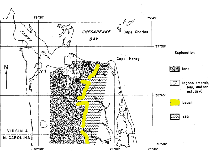 when Hickory Scarp formed, sea level was 20' higher than today and peat deposits to the west accumulated in the Great Dismal Swamp