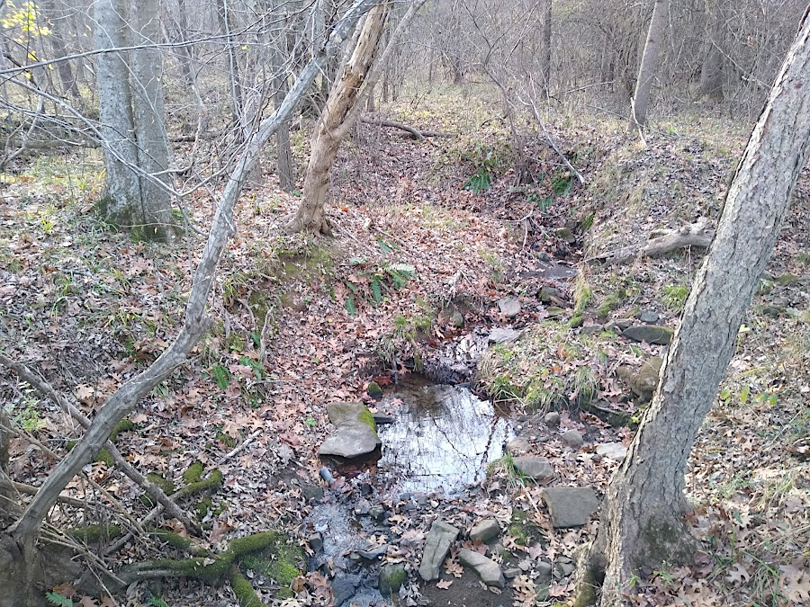 intermittent streams flow for portions of a year, when there is sufficient groundwater