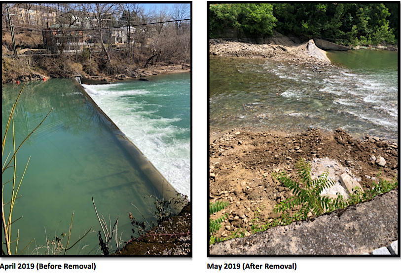 removing Jordan's Point Dam converted a flatwater reservoir into a free-flowing river