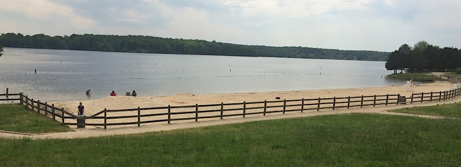 swimming area and artificial beach at Lake Anna State Park