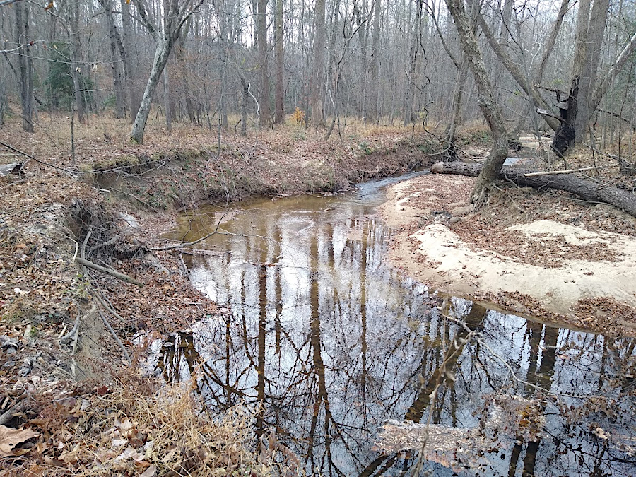 legacy sediments on Powell's Creek in Prince William County