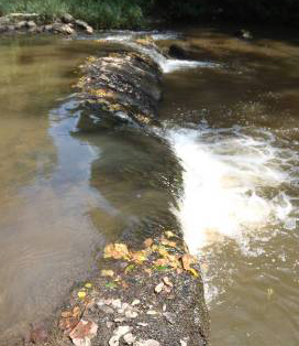 Big Rock is an exposed outcrop in the bed of the Meherrin River