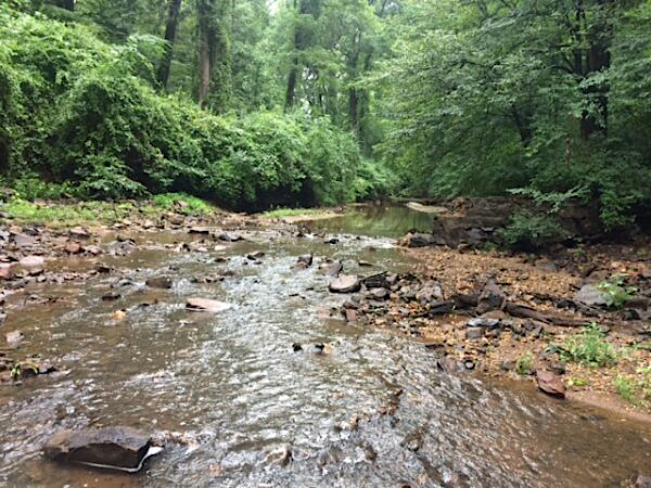 Moores Creek on the Rivanna River, after dam removal in 2017