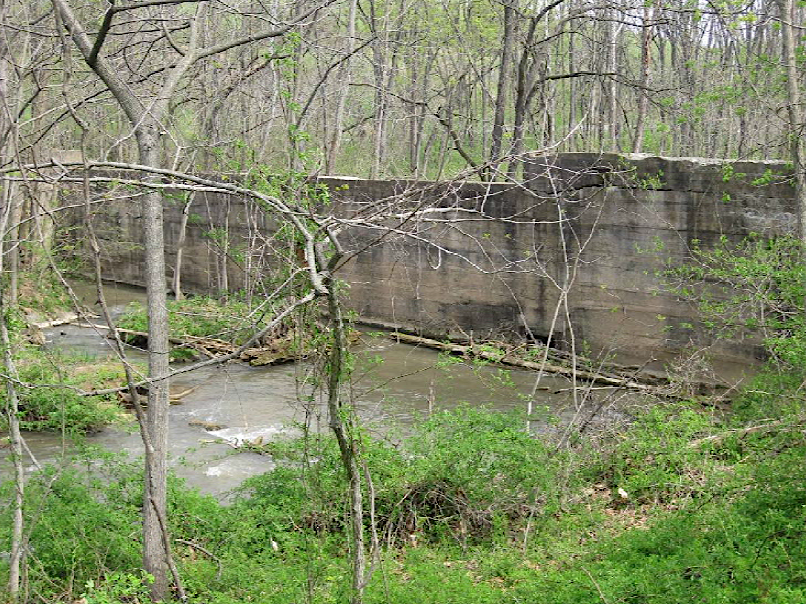 a derelict dam at Mossy Creek limited trout movement, until it was removed in 2013