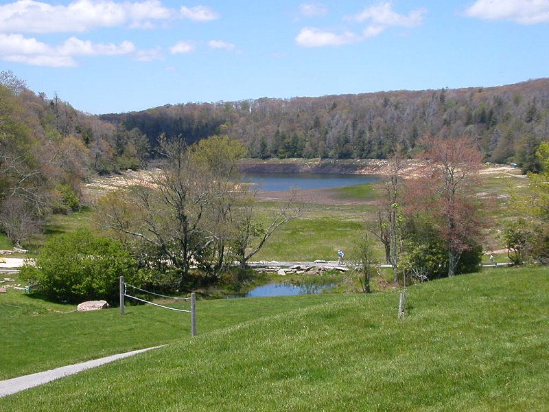 Mountain Lake in May, 2008, with constructed wetlands in foreground and disappearing lake in background